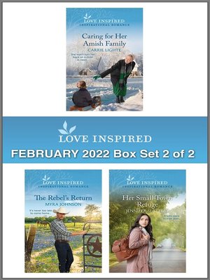 cover image of Love Inspired: February 2022 Box Set, 2 of 2